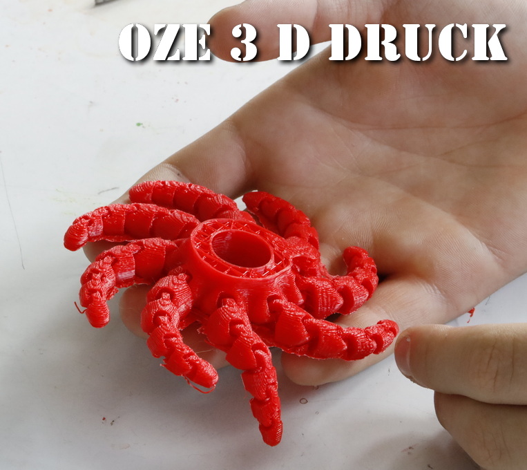 OzE druckt 3D Seestern OzE Bolligen 3 D Drucker